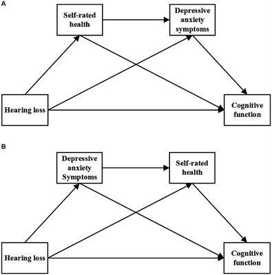 Impact of hearing loss on cognitive function in community-dwelling older adults: serial mediation of self-rated health and depressive anxiety symptoms